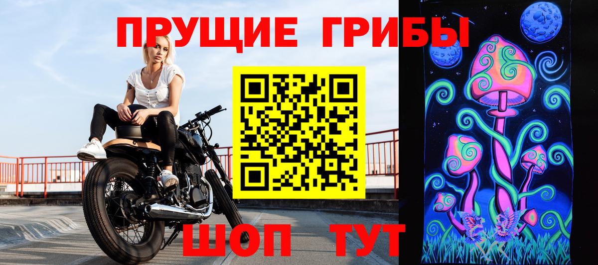 Галлюциногенные грибы Psilocybine cubensis Балашиха