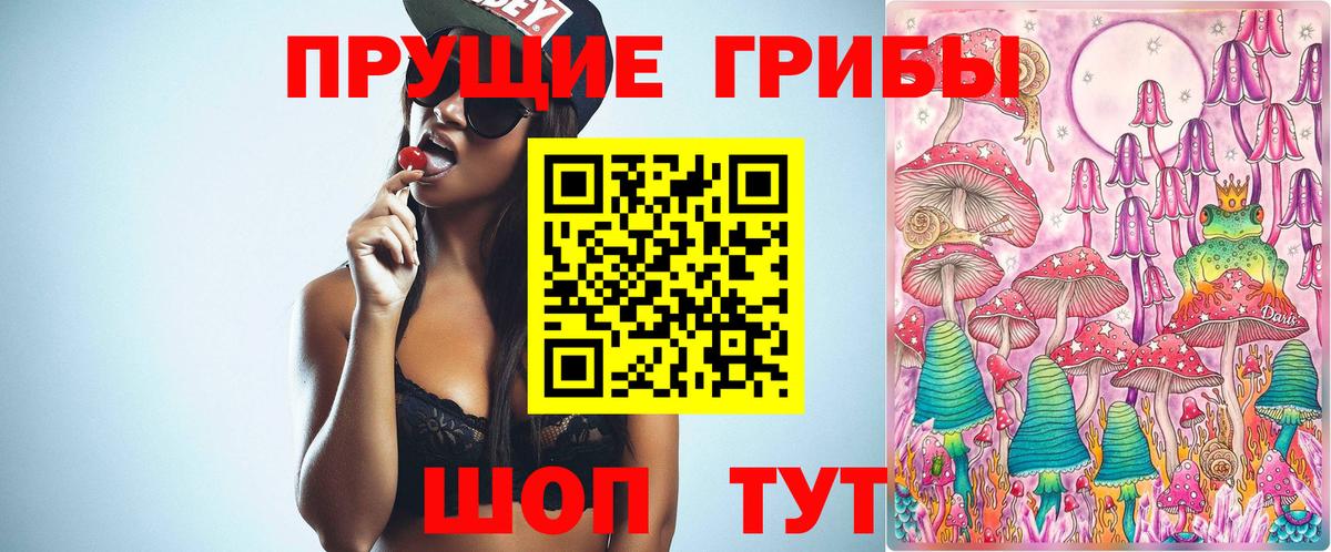 Псилоцибиновые грибы Psilocybe  Псилоцибиновые грибы MAGIC MUSHROOMS  Вход с VPN  Балашиха 